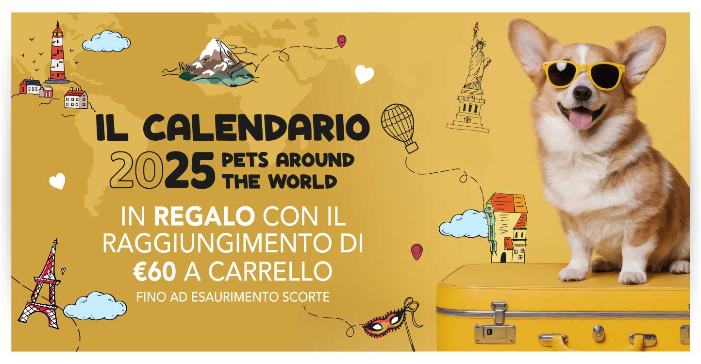 Calendario in omaggio con 60€ di spesa